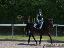 img-99311-599
